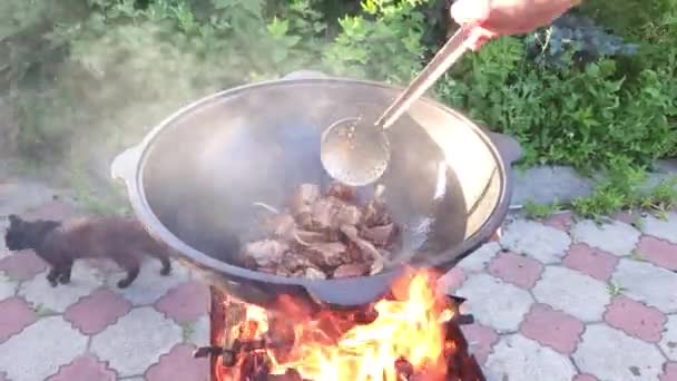 Kochen Usbekische Pilaf Fleisch Mit Zwiebeln Pflanzenöl Einem Gusseisernen Kessel — Stockvideo