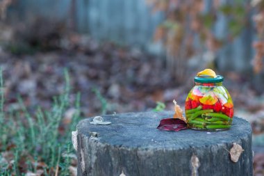 Bir kavanoz kırmızı ve yeşil biber elma sirkesinin içinde meşe ağacının sapında düşmüş sarı ve kırmızı yapraklı.