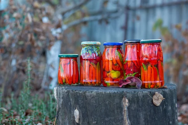 黄色と赤の葉を持つ庭のオークの切り株にリンゴサイダー酢で缶詰の赤と緑の唐辛子の5瓶 — ストック写真