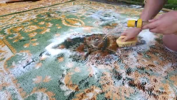 庭の洗剤が付いているブラシが付いているカーペットを洗浄します — ストック動画
