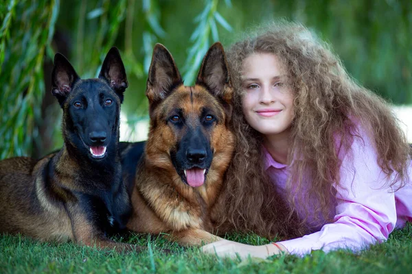 Γερμανικά Και Βελγικά Malinois Σκυλιά Βοσκός Βρίσκονται Ένα Πράσινο Γκαζόν Εικόνα Αρχείου