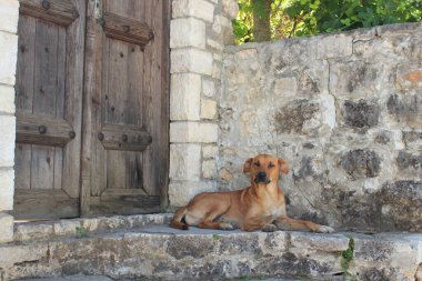 Kırmızılı bir melez evinin eşiğinde duruyor. Eski ahşap bir kapının önünde, arka planda taş bir duvarın karşısında.