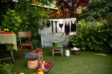 Still life - a green blooming garden with a table and chairs covered with vegetables and fruits against the background of drying women's underwear clipart