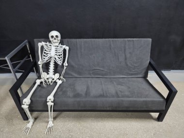İnsan iskeleti modeli gri yumuşak koltukta oturur.