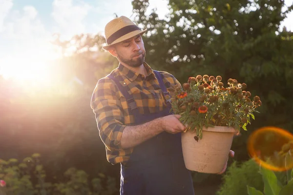 Portrait of sad florist in uniform holding a flower pot with dried plant. In the background is a backyard and sunlight. The concept of gardening and floristry.