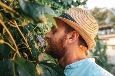 Exotic garden. Closeup portrait of smiling bearded gardener in straw hat smells the passion fruit flower. The concept of organic gardening and horticulture.
