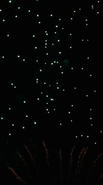 Holiday colorful glitz bright fireworks in night sky. Feast day. Vertical orientation. Concept of independence day, new year and celebration.