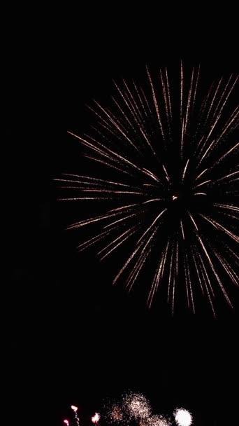 Festtag Feiertagsfarbenes Glitzerfeuerwerk Nachthimmel Vertikale Orientierung Konzept Von Unabhängigkeitstag Neujahr — Stockvideo