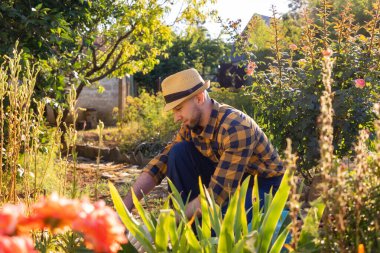 A smiling man in a straw hat and a plaid shirt is working in a blooming garden. The concept of the spring-summer gardening season.