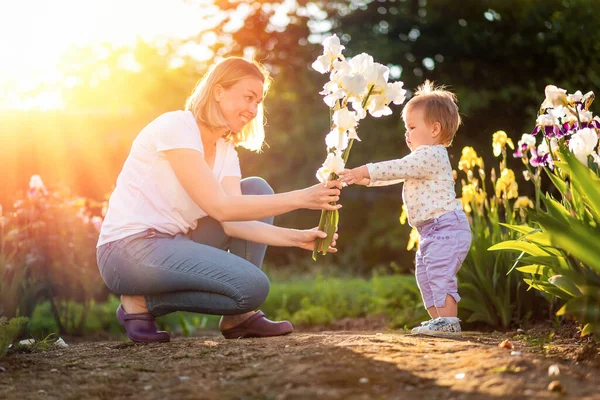 Happy Mother Gives Bouquet Irises Her Cute Baby Sunset Light — Φωτογραφία Αρχείου