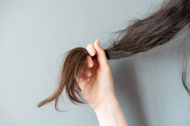 A woman holds a lock of her hair, showing dry tips. Hands close-up. The concept of trichology and problems.