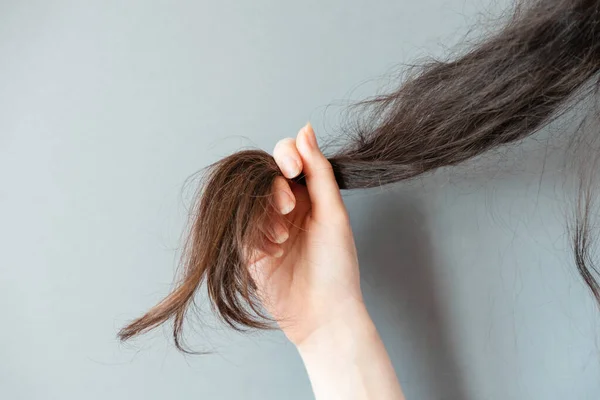 Woman Holds Lock Her Hair Showing Dry Tips Hands Close — Stok fotoğraf