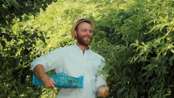 Jardinagem Orgânica Fazendeiro Caucasiano Feliz Chapéu Palha Segura Uma Caixa — Vídeo de Stock