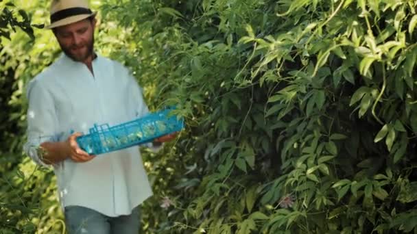 Kebun Organik Keluarga Petani Topi Jerami Memberikan Seorang Gadis Sekotak — Stok Video
