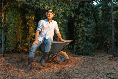 Organik bahçıvanlık. Hasır şapkalı yakışıklı beyaz sakallı bahçıvan at arabasında oturuyor. Yaz ve hasat kavramı..