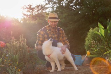 Sıradan kıyafetlerle gülümseyen beyaz Samoyed köpeğini okşayan beyaz bir adam. Arka planda güneşli bir bahçe. Antrenman hayvanı ve mutlu köpek günü konsepti.