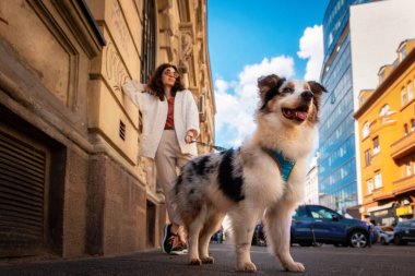 Evcil hayvanla arkadaşlık. Saf Avustralyalı köpekli güzel beyaz bir kadının alt manzarası eğik duruyor..