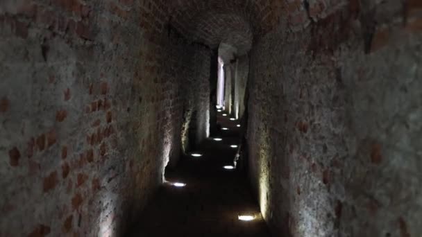 Ősi Katakombák Sötét Kőfolyosója Sír Régi Kastélyban Régészet Középkori Romok — Stock videók
