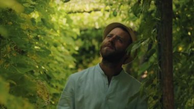 Organik bahçıvanlık. Hasır şapkalı gülümseyen beyaz çiftçi tutkulu meyve hasadı dolu bir kutu tutuyor ve meyve topluyor. Ağır çekim. Hasat ve çiftçilik kavramı.