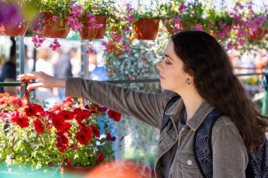 Kafkasyalı genç bir kadının saksıyı çiçek açan bir bitkiyle seçmesi. Çiçekçi bitkileri seçer. Çiçek festivali.