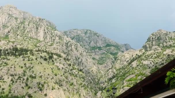 Прекрасний Вид Скелясті Гори Рідкісною Зеленню Вид Зверху Вниз Гору — стокове відео