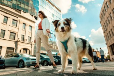 Safkan Avustralyalı köpekli beyaz bir kadın şehrin arka planında poz veriyor. Evcil hayvanla arkadaşlık.