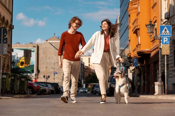 stock image Happy young Caucasian couple with pet walking at city. Training purebreed aussie dog.