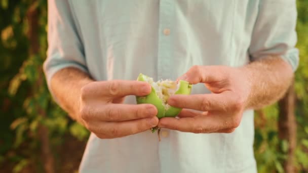 Organic Gardening Gardener Holding Opens Passion Fruit Close Male Hands — Stock Video