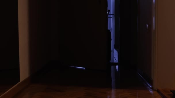 Persona Botas Abre Puerta Entra Habitación Con Maleta Llegada Hotel — Vídeo de stock