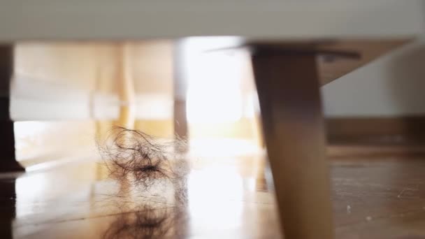 リビングルームの家具の下で輝くパーケットに髪の塊が付いているほこりの汚れた床 クローズアップ ローアングルビュー 左ショットを追跡 クリーニングサービスコンセプト — ストック動画