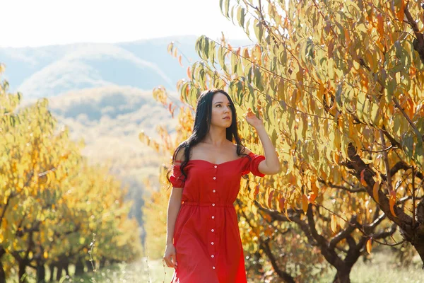 走在花园里 一个穿着红色衣服的黑发女人沿着树散步 用手抚摩树叶 — 图库照片