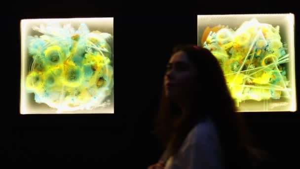 Seitenansicht Der Frau Besucht Eine Ausstellung Zeitgenössischer Kunst Malerei Hintergrund — Stockvideo