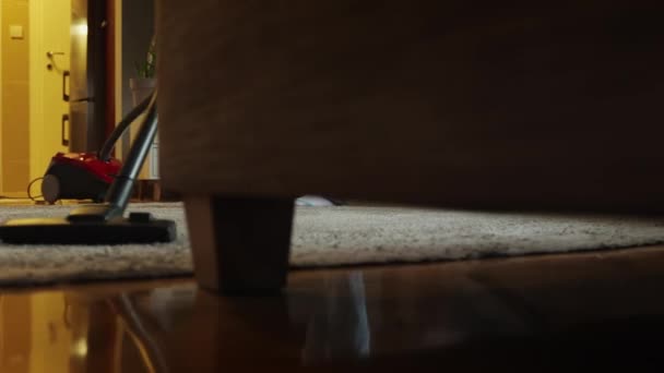 家庭清洁服务和家务活 专业清洁女性吸尘地毯靠近沙发的公寓 真空吸尘器和女性腿的低角度视图 跟踪沙发上的左撇子 — 图库视频影像