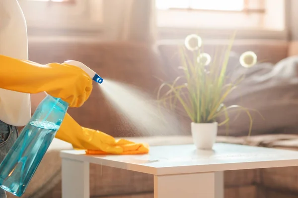 Woman in rubber gloves sprays cleanser and wipes table with rag. Close up. Sunlight from window. Cleaning service and chores.
