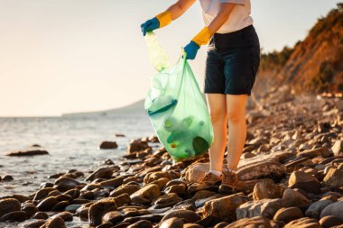 Lastik eldivenli gönüllü, çakıllı, vahşi sahilde çöp topluyor ve plastik torbaya koyuyor. Uzayı kopyala Dünya Günü kavramı.