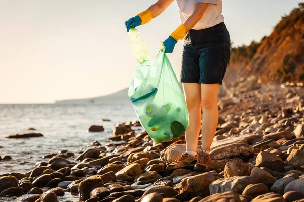 Volunteer in rubber gloves collects garbage on pebble wild beach and puts bottle in plastic bag. Copy space. Concept of Earth Day.