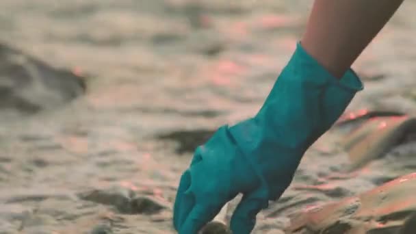 生态学家的手戴着橡胶手套 紧紧地把海水抽到试管里 摇动它 环境保护的概念 — 图库视频影像