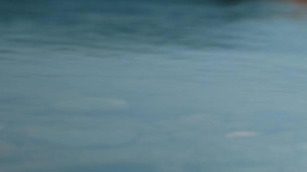Крупним Планом Блакитні Брижі Водної Поверхні Річки Або Озера Шаблон — стокове відео