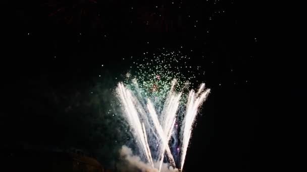 夜空の魔法の休日の多彩な輝く花火 独立記念日と祭りのコンセプト — ストック動画