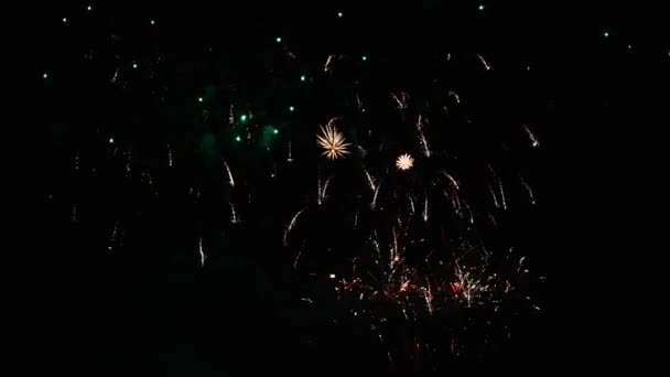 夜空の魔法の休日の多彩な輝く花火 新しい年 ディワリとクリスマス 独立記念日と祭りのコンセプト — ストック動画