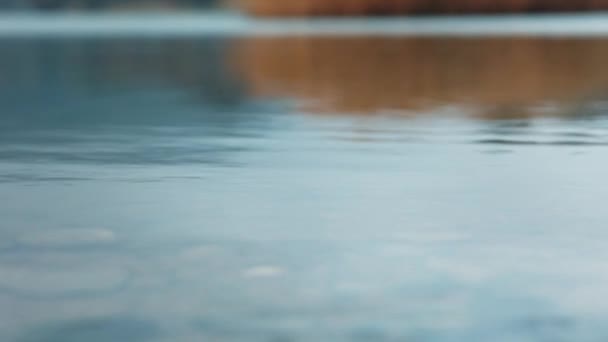 川や湖岸の水面の青いリップルのクローズアップ テンプレートライブ壁紙 — ストック動画
