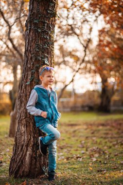 A smiling boy poses leaning on a tree trunk in an autumn park. The concept of school holidays.