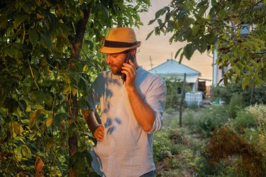 Yerel bahçıvanlık. Hasır şapkalı beyaz sakallı adam telefondan arıyor. Arka planda yapraklar ve meyve bahçesi var. Modern bahçe ve bahçıvanlık kavramı..