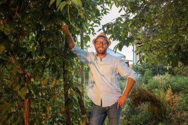 Hasır şapkalı ve gözlüklü gülümseyen beyaz adam bahçede poz veriyor, elini bir ağaca yaslıyor. Organik bahçe ve tarım kavramı..