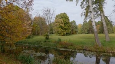 Güz parkında eski ağaçlarla dolu dar bir göl.