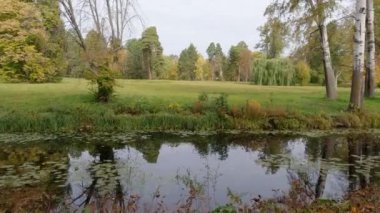 Güz parkında eski ağaçlarla dolu dar bir göl.