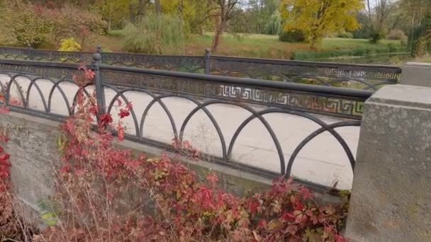 Decoratieve Boogvormige Stenen Voetgangersbrug Met Leuning Het Najaarspark — Stockvideo