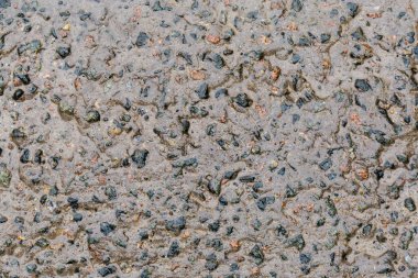 Eski ıslak beton yamanın bir kısmı kısmen yosunlarla kaplıydı. Yağmurlu ve bulutlu havalarda, üst taraf yakın çekim.