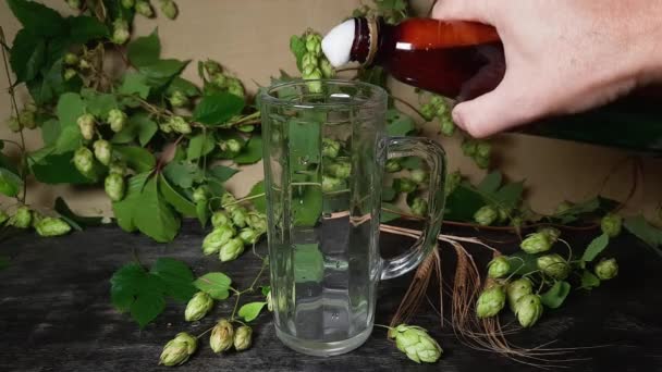 Χύτευση Μπύρας Από Μπουκάλι Άδειο Ποτήρι Στο Λυκίσκο — Αρχείο Βίντεο