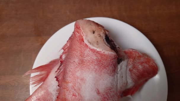 머리없는 물고기 서리로 뒤덮여 — 비디오